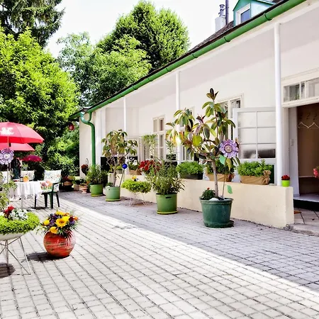 Pension Margit Baden Extérieur photo